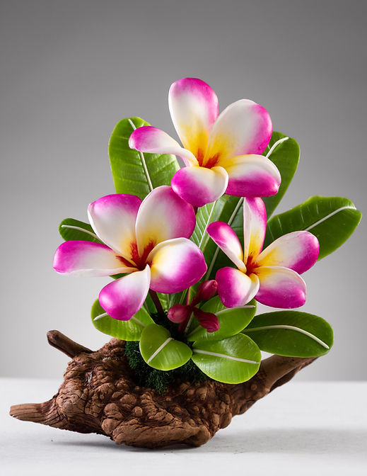 Pink Yellow Red Center Plumeria 3 flower Arrangement | Nana's Clay