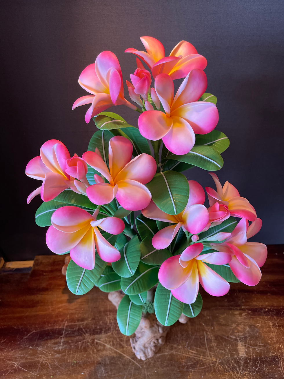 Thumbnail: Pink/Peach Plumeria Tree Large
