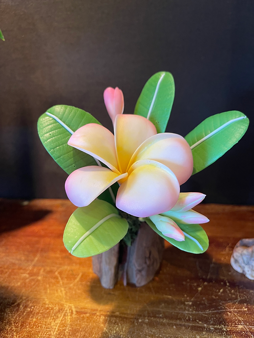 Light Pink Plumeria | Nana's Clay Flowers