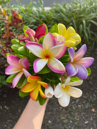 Colorful Plumeria 7 Flower Bundle | Nana's Clay Flowers