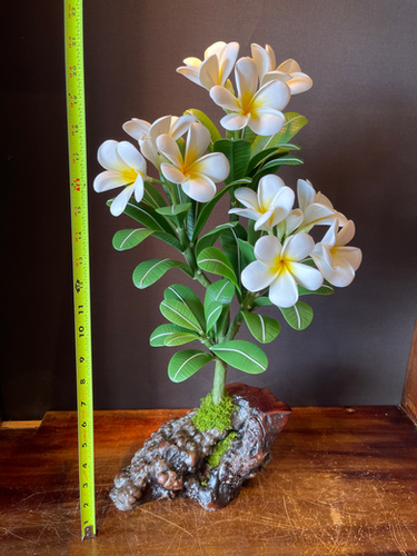 bambus wie tief wurzeln Bambus Dünger Flora Boost für gesunde und prächtige Bambuspflanzen main image 0