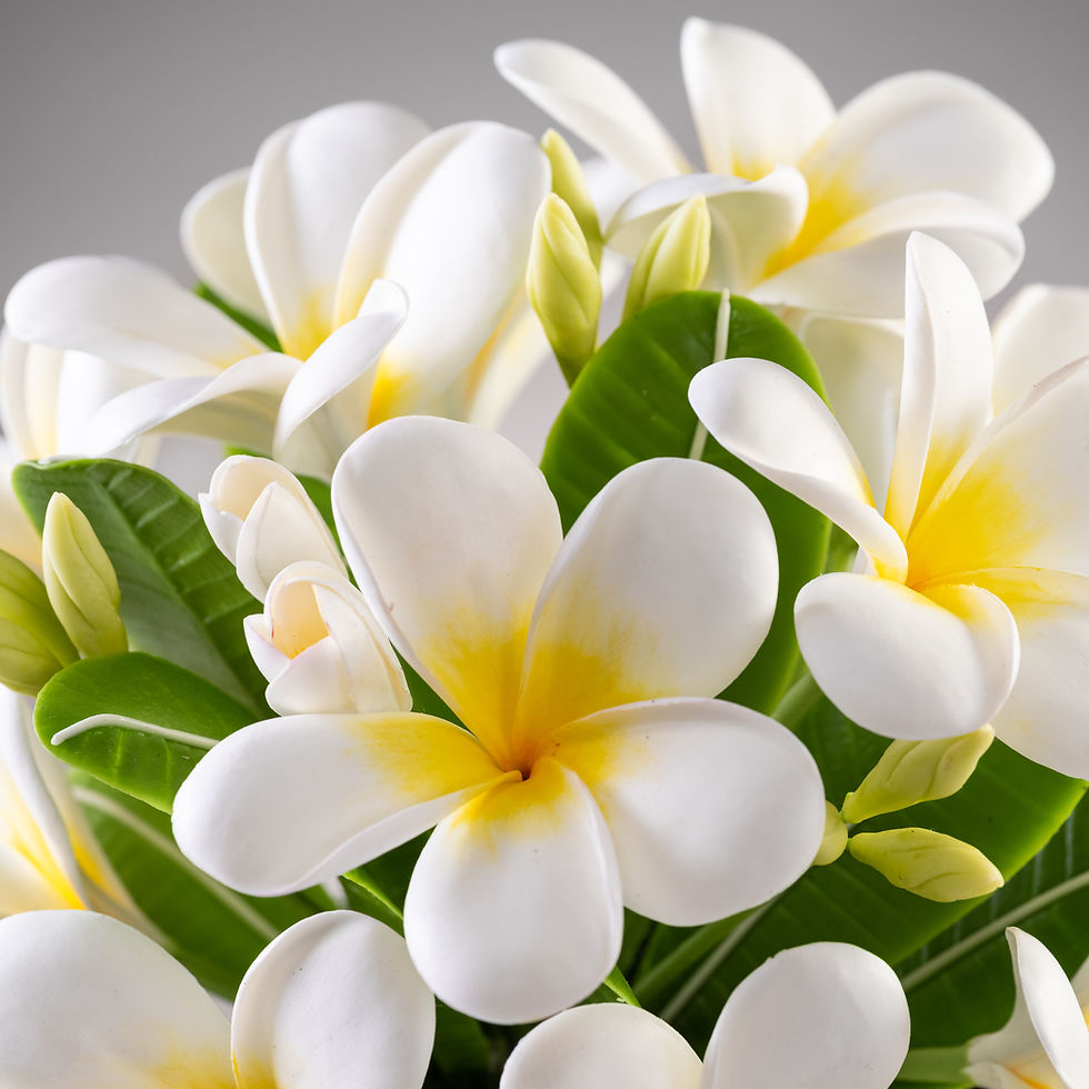 Thumbnail: Plumeria Bundle Medium size