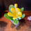 Thumbnail: Yellow Plumeria
