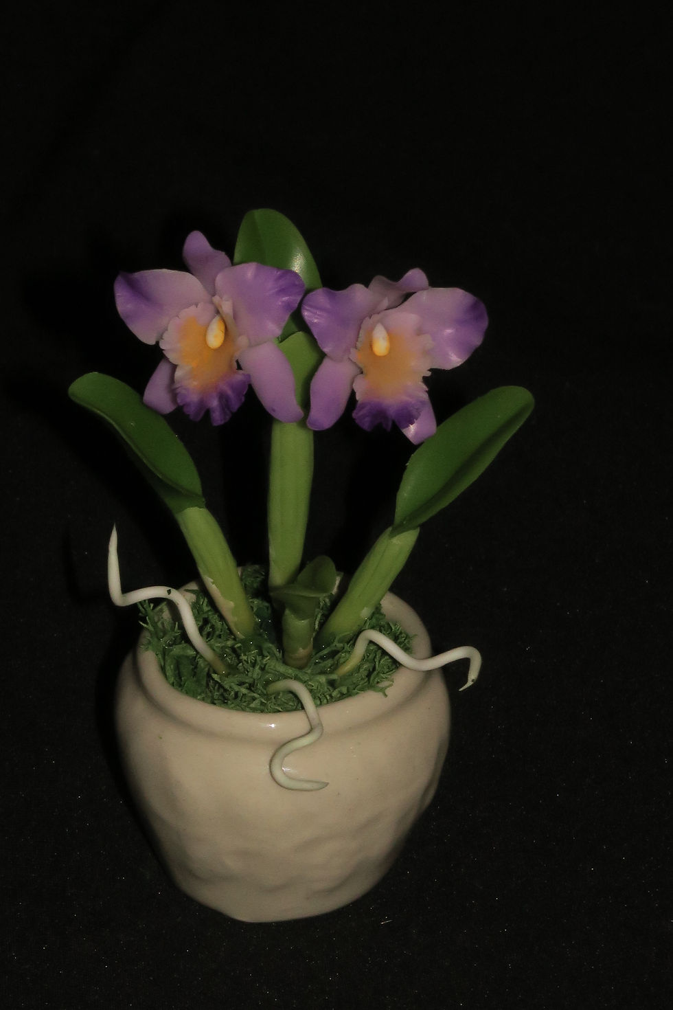 Thumbnail: Cattaleya small pot