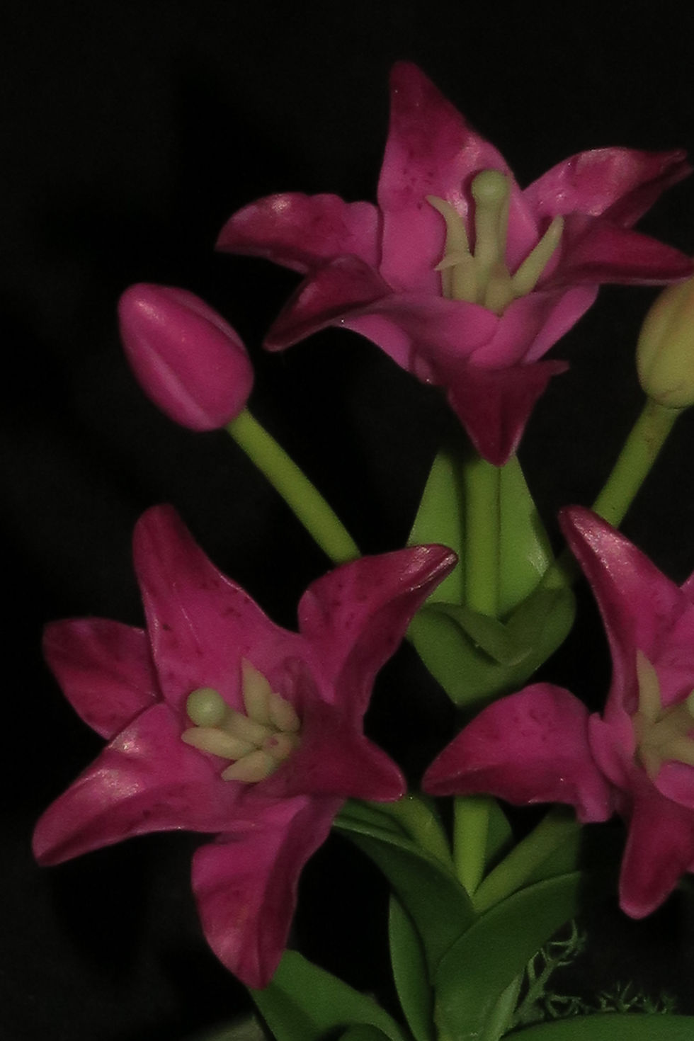 Thumbnail: Tiger Lily small pot