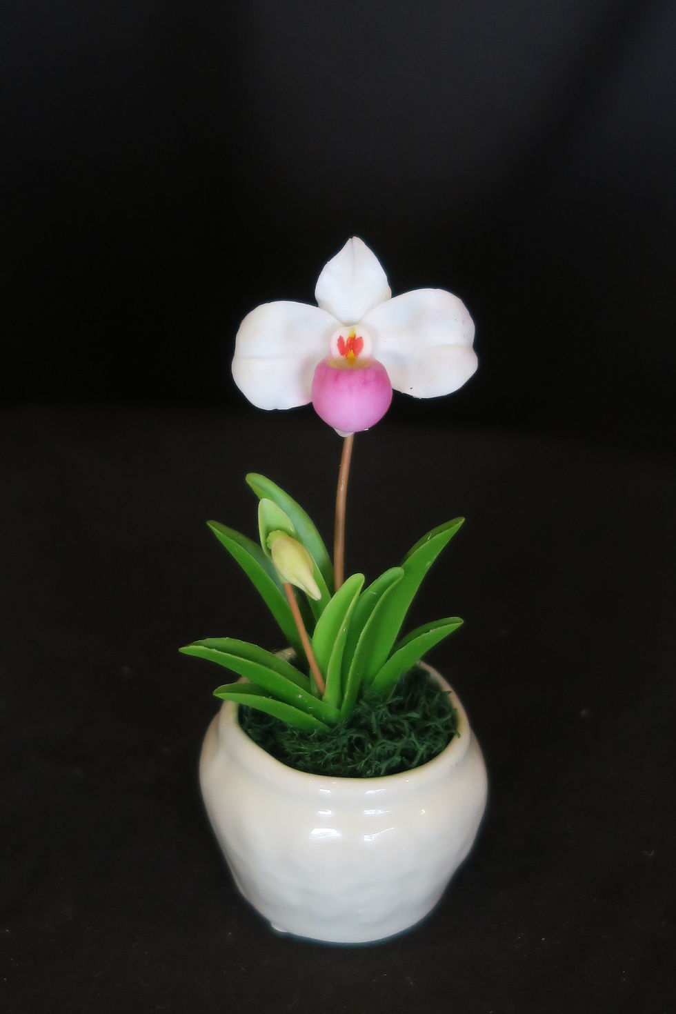 Thumbnail: Lady Slipper in small pot