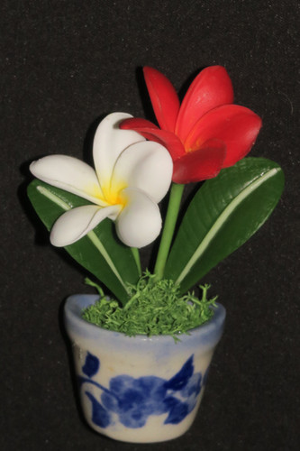 Plumeria magnet | Nana's Clay Flowers