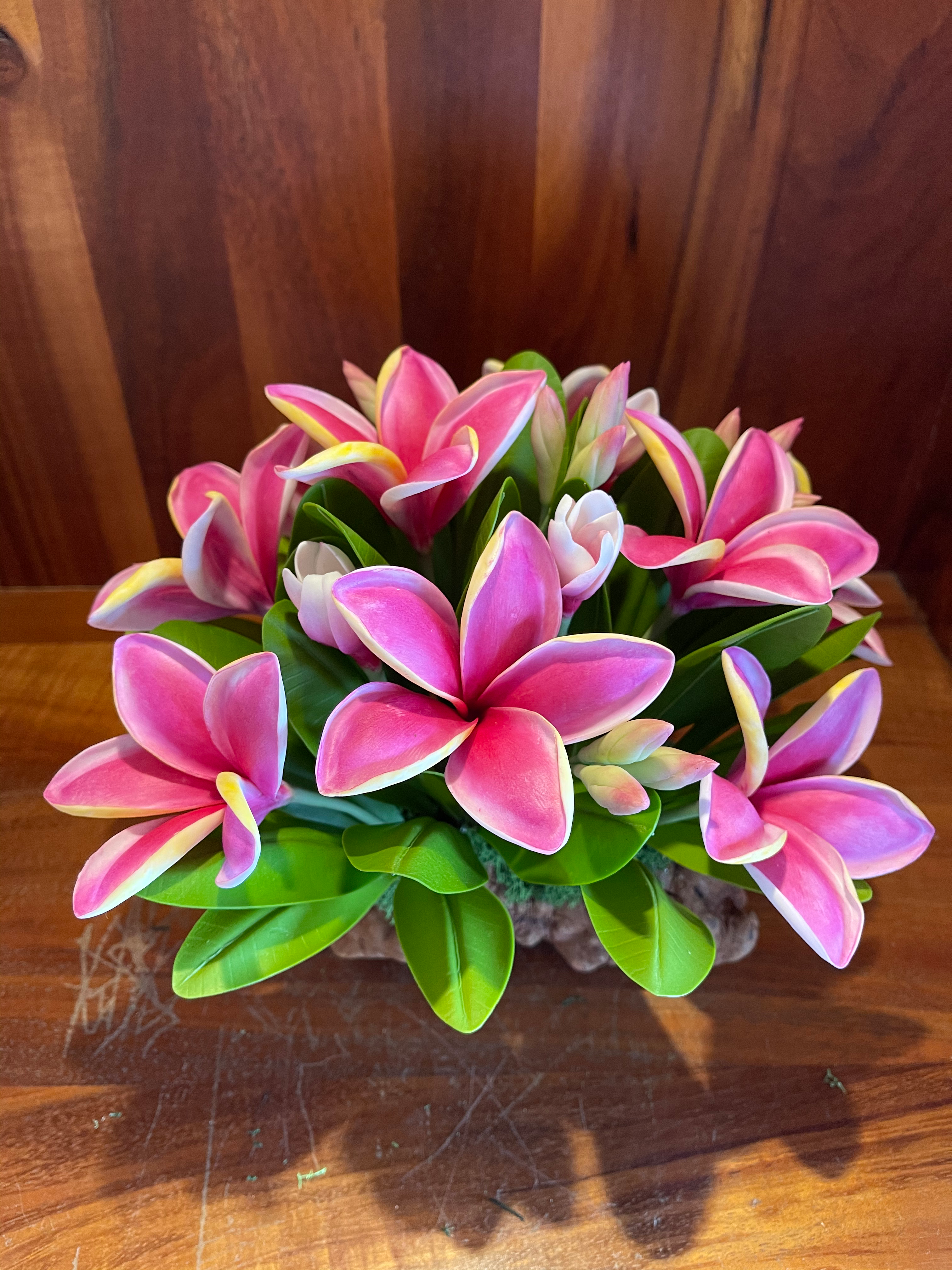 Pink Plumeria Bundle