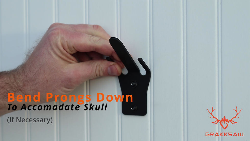 Thumbnail: The Claw: Deer Skull Hangers