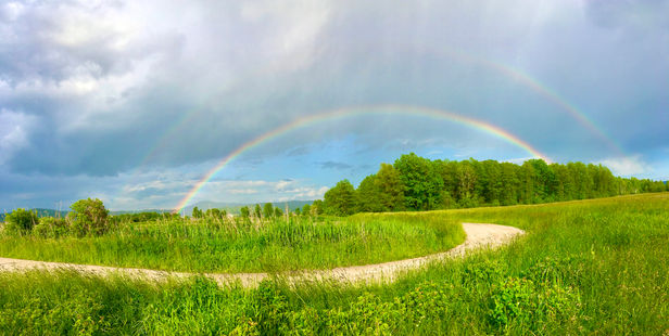 The Spark and the Rainbow