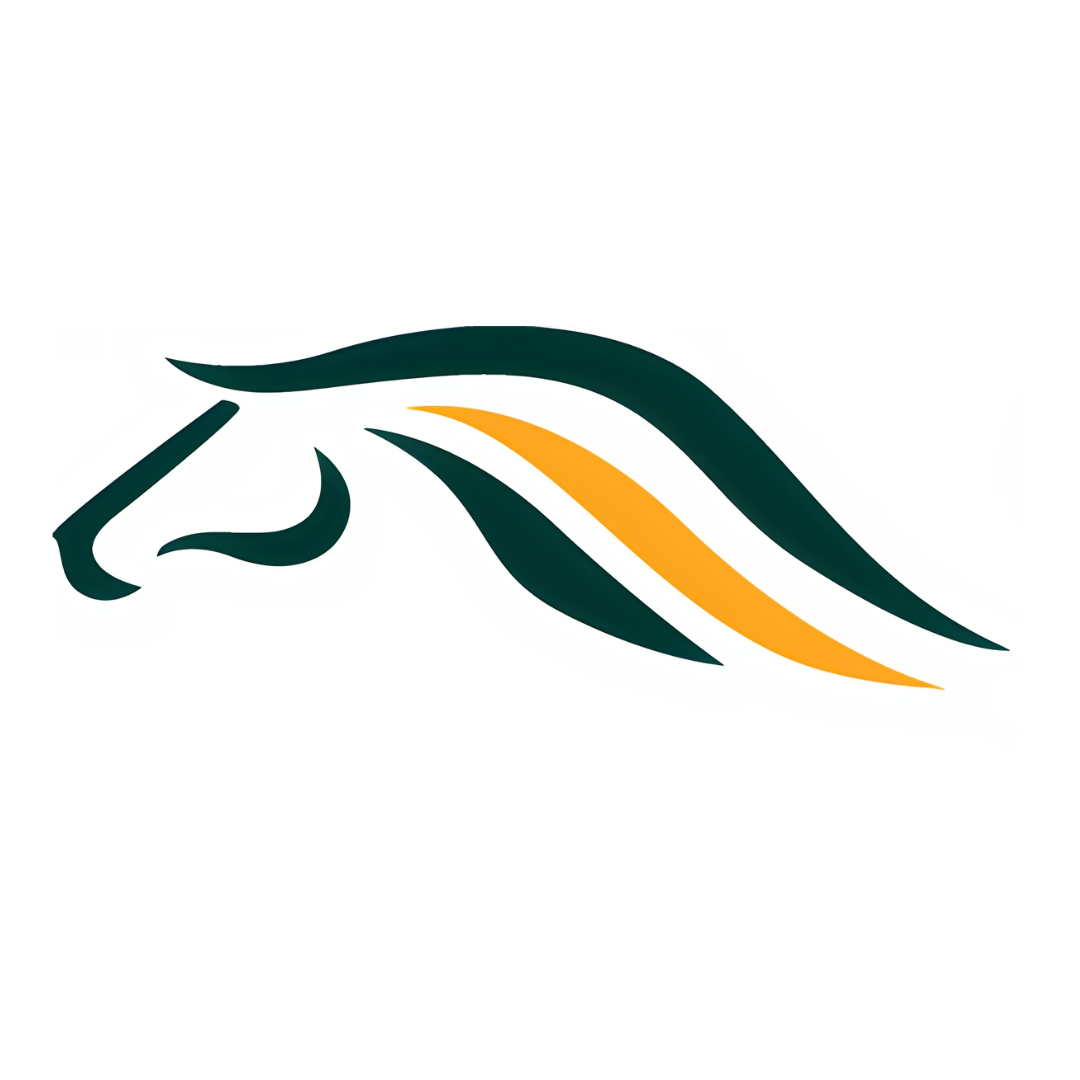 Foto del escritor: Tracasa