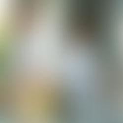 Behind the Label: How Personal Care Products Are Really Made