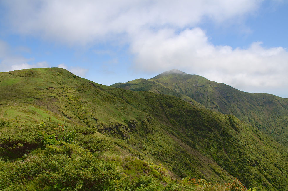 Trails - Pico da Vara - Hero.jpg