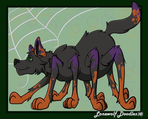 a wolf spider hybrid 