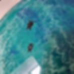 Thumbnail: 35cm Round ocean tray with swimming turtles