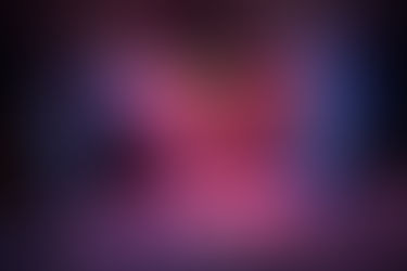 Tax Brothers and the Old Racoon "Mr President"