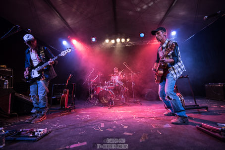 Tax Brothers and the Old Racoon "Mr President"