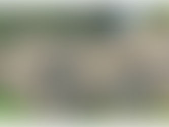 " Big Ears And Tusks  !! " - African bush elephant