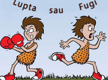                                    Principiul "Îngheață, Fugi sau Luptă"