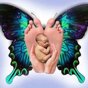 Abilità Metamorfica