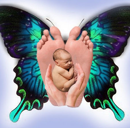 Abilità Metamorfica