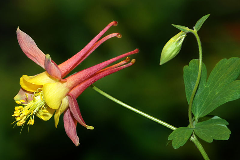 20060513_161703_R=8_S=4