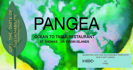 pangea gift card 