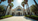 Top Injury Attorneys Los Angeles: What Sets Them Apart