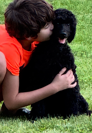Logan pup.PNG