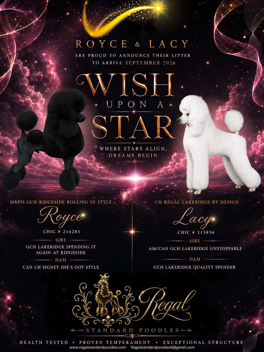 Lacy and Royce litter announcement