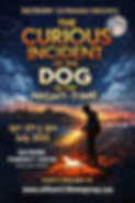 Copilot_20260503_224408.png
