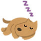 sleep_animal_dog.png