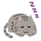sleep_animal_cat.png