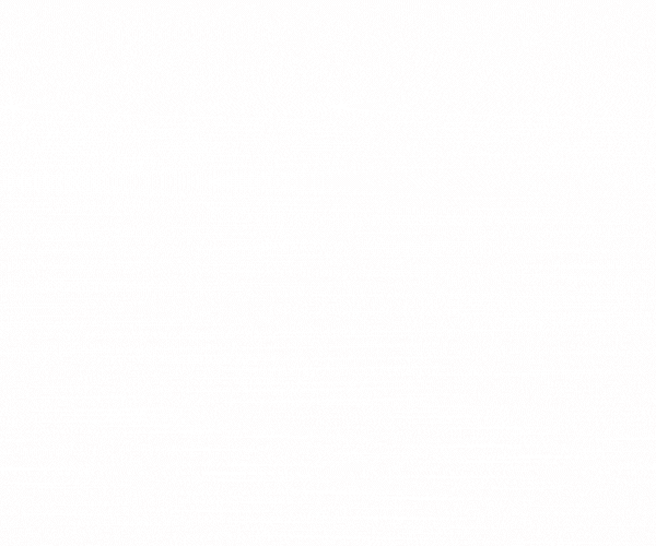 IMG_3947.gif