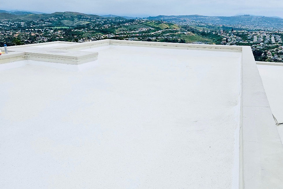ResidentialRoofRestoration-2.jpg