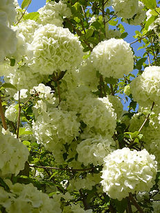 P1000371.JPG