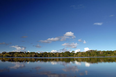Amazon River, Ecuador