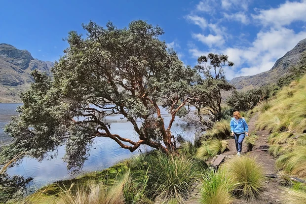 Hiking El Cajas National Park in Toreadora area, cuenca 