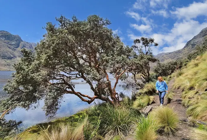 Cajas National Park hike by Toreadora Lake on our way to Guayaquil