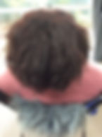 image1-6.jpeg