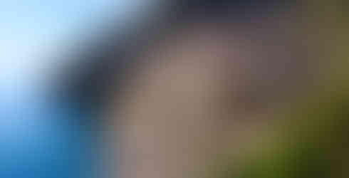 bunte Häuser in Positano