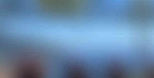 Geranien und blaues Meer