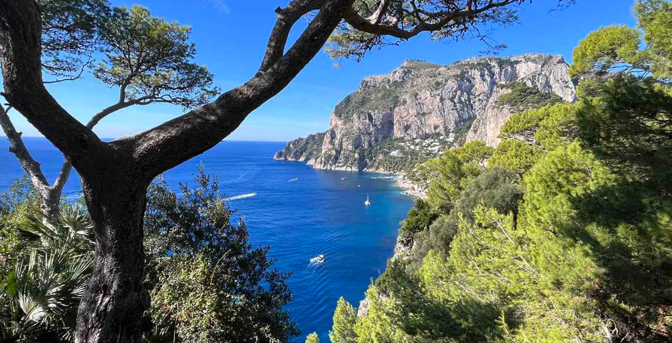 grüne Bäume blaues Meer Capri