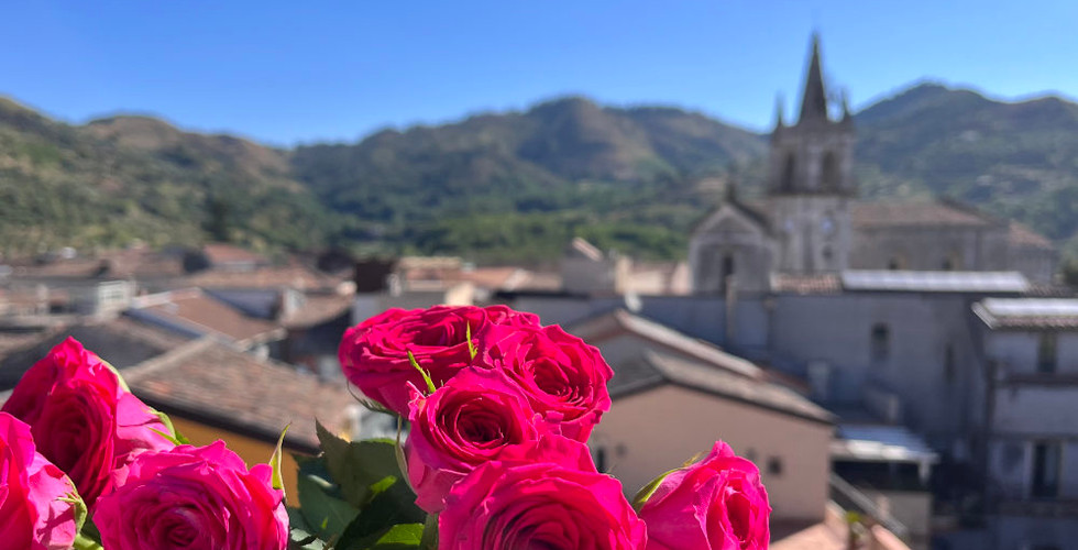 Rosen und Dorfidylle