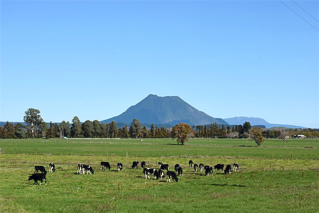 View_of_Putauaki_and_Tarawera_from_Awake