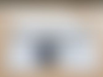 Estonian passport and residence documents illustrating the difference between citizenship, residency, and travel rights.