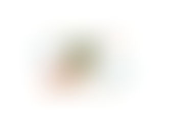 L'accompagnement individuel