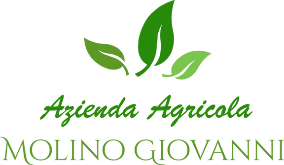 Logo (1).png