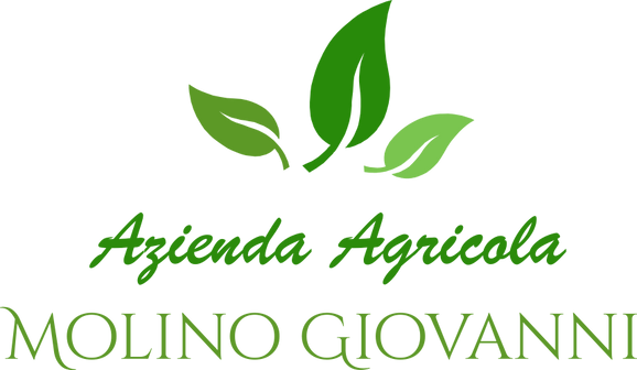 Logo (1).png
