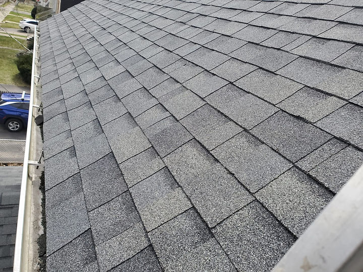 WhatsApp Image 2024-02-22 at 3.33.59 PM (11).jpeg